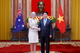 Chủ tịch nước Lương Cường tiếp Đại sứ Australia tại Việt Nam Gillian Bird. (Ảnh: Lâm Khánh/TTXVN)