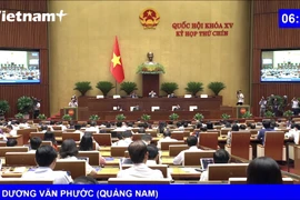 Thông qua Nghị quyết của Quốc hội về việc sửa đổi một số điều của Hiến pháp
