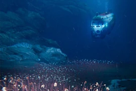 Phát hiện hệ sinh thái đa dạng ở độ sâu 9.500m dưới đáy Thái Bình Dương