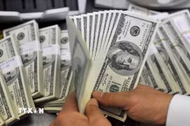 Nhân viên kiểm đồng USD. (Ảnh: AFP/TTXVN)