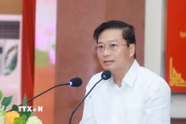 Chủ tịch UBND tỉnh Nghệ An Lê Hồng Vinh. (Ảnh: TTXVN phát)