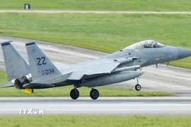 Máy bay chiến đấu F-15. (Ảnh: Kyodo/TTXVN)