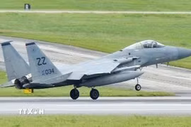 Máy bay chiến đấu F-15. (Ảnh: Kyodo/TTXVN)
