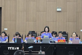 Đại diện Viện Kiểm sát công bố bản Cáo trạng tại phiên tòa. (Ảnh: Kim Anh/TTXVN)