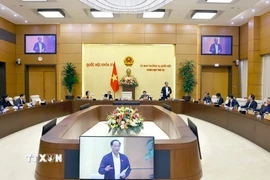 Quang cảnh phiên họp. (Ảnh: Doãn Tấn/TTXVN)