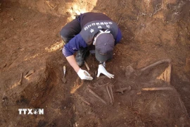 Khai quật hài cốt các binh sỹ hy sinh trong Chiến tranh Triều Tiên (1950-1953) tại Khu phi quân sự (DMZ) ở tỉnh Gangwon, giáp biên giới với Triều Tiên. (Ảnh: Yonhap/TTXVN)