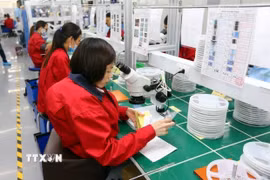 Lao động khuyết tật làm việc trong dây chuyền sản xuất cùng với những công nhân bình thường khác tại Công ty TNHH Điện tử Chilisin Việt Nam. (Ảnh: Danh Lam/TTXVN)