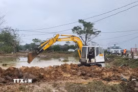 Xe múc được huy động khắc phục đoạn đê bị sạt lở do mưa lũ kéo dài. (Ảnh: Mai Trang/TTXVN)