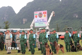 Các sỹ quan, quân nhân Việt Nam tham gia diễn tập. (Ảnh: Trọng Đức/TTXVN)