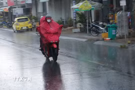 Ảnh minh họa. (Ảnh: Tuấn Phi/TTXVN)