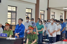 Các bị cáo nghe Hội đồng Xét xử tuyên án. (Ảnh: Thanh Sang/TTXVN)