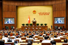 Quang cảnh phiên họp sáng 29/10. (Ảnh: Doãn Tấn/TTXVN)