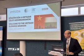 Đại sứ Việt Nam tại Hungary Bùi Lê Thái phát biểu khai mạc tại hội thảo. (Ảnh TTXVN phát)