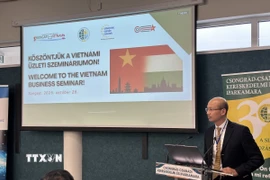 Đại sứ Việt Nam tại Hungary Bùi Lê Thái phát biểu khai mạc tại hội thảo. (Ảnh TTXVN phát)