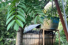 Hồ chứa nước cho vịt uống, nơi phát hiện 2 nạn nhân. (Ảnh: TTXVN phát)