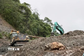 Ảnh minh họa. (Ảnh: Cao Nguyên/TTXVN)