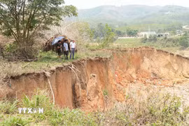 Bờ sông Pô Kô sạt lở ảnh hưởng nghiêm trọng đến công trình nhà ở, giao thông và diện tích canh tác của người dân trên địa bàn xã Dục Nông. (Ảnh: Dư Toán/TTXVN)