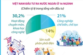 Năm 2024: Đầu tư của Việt Nam ra nước ngoài tăng 57,7%