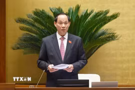 Phó Chủ tịch Quốc hội Trần Quang Phương phát biểu. (Ảnh: Doãn Tấn/TTXVN)