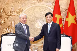Trưởng Ban Tổ chức Trung ương Nguyễn Duy Ngọc tiếp Chủ tịch Cơ quan Hợp tác Quốc tế Nhật Bản (JICA) Tanaka Akihiko. (Ảnh: Phương Hoa/TTXVN)