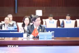 Thứ trưởng Bộ Khoa học và Công nghệ Việt Nam Bùi Hoàng Phương . (Ảnh: Công Tuyên/TTXVN)