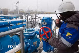 Công nhân điều chỉnh van tại trạm khí nén Slavyanskaya trên hệ thống đường ống dẫn khí đốt Nord Stream 2 của Tập đoàn Gazprom ở Ust-Luga, Nga. (Ảnh: Getty Images/TTXVN)