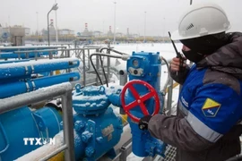 Công nhân điều chỉnh van tại trạm khí nén Slavyanskaya trên hệ thống đường ống dẫn khí đốt Nord Stream 2 của Tập đoàn Gazprom ở Ust-Luga, Nga. (Ảnh: Getty Images/TTXVN)