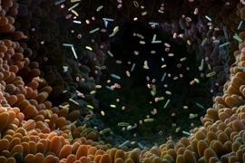 Ảnh minh hoạ. (Nguồn: ScienceDaily)