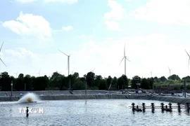 Mô hình nuôi tôm tại Cà Mau. (Ảnh: Hoàng Liên Sơn/TTXVN)