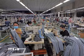 Công ty TNHH Việt Thắng JEAN mỗi năm xuất khẩu hàng triệu sản phẩm sang thị trường EU, Mỹ, Nhật Bản, Hàn Quốc. (Ảnh: Trần Việt/TTXVN)