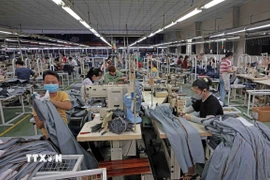 Công ty TNHH Việt Thắng JEAN mỗi năm xuất khẩu hàng triệu sản phẩm sang thị trường EU, Mỹ, Nhật Bản, Hàn Quốc. (Ảnh: Trần Việt/TTXVN)