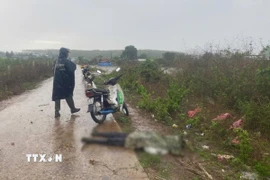 Ông Nguyễn Hồng (63 tuổi, trú thôn Tân Lập B, xã Đăk Hring, huyện Đăk Hà, tỉnh Kon Tum) bị sét đánh. (Ảnh: TTXVN phát)