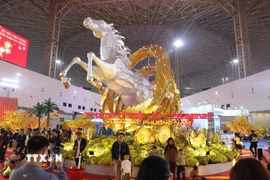 Người dân háo hức mua sắm tại Hội chợ Mùa Xuân lần thứ nhất. (Ảnh: Quốc Khánh/TTXVN)