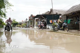 Các kỳ triều cường cao vào cuối năm 2026 được dự báo sẽ có mực nước tương đương với mức đỉnh của năm 2025, đặt ra yêu cầu cao về công tác hộ đê và chống ngập. (Ảnh: Huỳnh Anh/TTXVN)