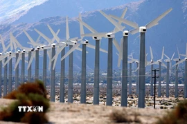 Cánh đồng cối xay gió ở gần Palm Springs, California, Mỹ. (Ảnh: AFP/TTXVN)