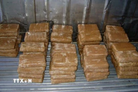 Tang vật trong một vụ bắt giữ cocaine tại Mexico. (Ảnh: AFP/TTXVN)