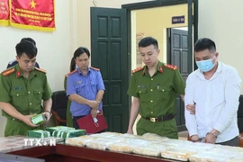 Đối tượng cầm đầu vụ án (phải) bị đề nghị truy tố. (Ảnh: TTXVN phát)