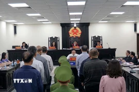 Quang cảnh phiên tòa xét xử sơ thẩm 8 bị cáo trong vụ sai phạm tại Tổng Công ty Chè Việt Nam. (Ảnh: Kim Anh/TTXVN)