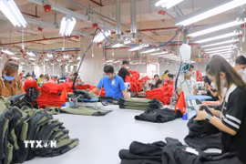 Doanh nghiệp nhỏ và vừa chiếm tỷ trọng áp đảo trong nền kinh tế. (Ảnh: Công Mạo/TTXVN)