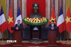 Chủ tịch nước Lương Cường và Tổng thống Pháp Emmanuel Macron tại buổi gặp gỡ báo chí. (Ảnh: Lâm Khánh/TTXVN)