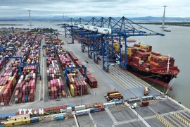 Hàng hóa xuất nhâp khẩu ở cảng container Lạch Huyện, thành phố Hải Phòng. (Ảnh: Vũ Sinh/TTXVN)