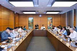 Đoàn đại biểu Quốc hội các tỉnh Bắc Ninh và Cà Mau thảo luận ở tổ. (Ảnh: Doãn Tấn/TTXVN)