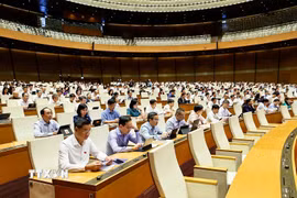 Đại biểu dự phiên họp. (Ảnh: Doãn Tấn/TTXVN)