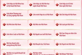 Danh sách 29 hội quần chúng do Đảng, Nhà nước giao nhiệm vụ