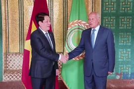 Chủ tịch nước Lương Cường gặp Tổng Thư ký Liên đoàn Arab