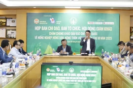 Nếp nhà mới dựng của một gia đình người Mông ở bản Lũng Cẩm chuẩn bị đón Xuân về. (Ảnh : Văn Phát/TTXVN)