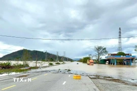 Nước sông Lam dâng cao khiến Quốc lộ 1A bị ngập. (Ảnh: TTXVN phát)