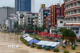 Phố đi bộ Kim Đồng, phường Thục Phán (Cao Bằng) bị ngập trong nước lũ. (Ảnh: TTXVN phát)
