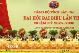 Đoàn Chủ tịch điều hành Đại hội. (Ảnh: Tuấn Khôi/TTXVN)