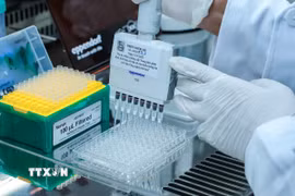 Áp dụng công nghệ giải trình tự gene thế hệ mới trong giám định ADN hài cốt liệt sỹ. (Ảnh: Hoàng Hiếu/TTXVN)